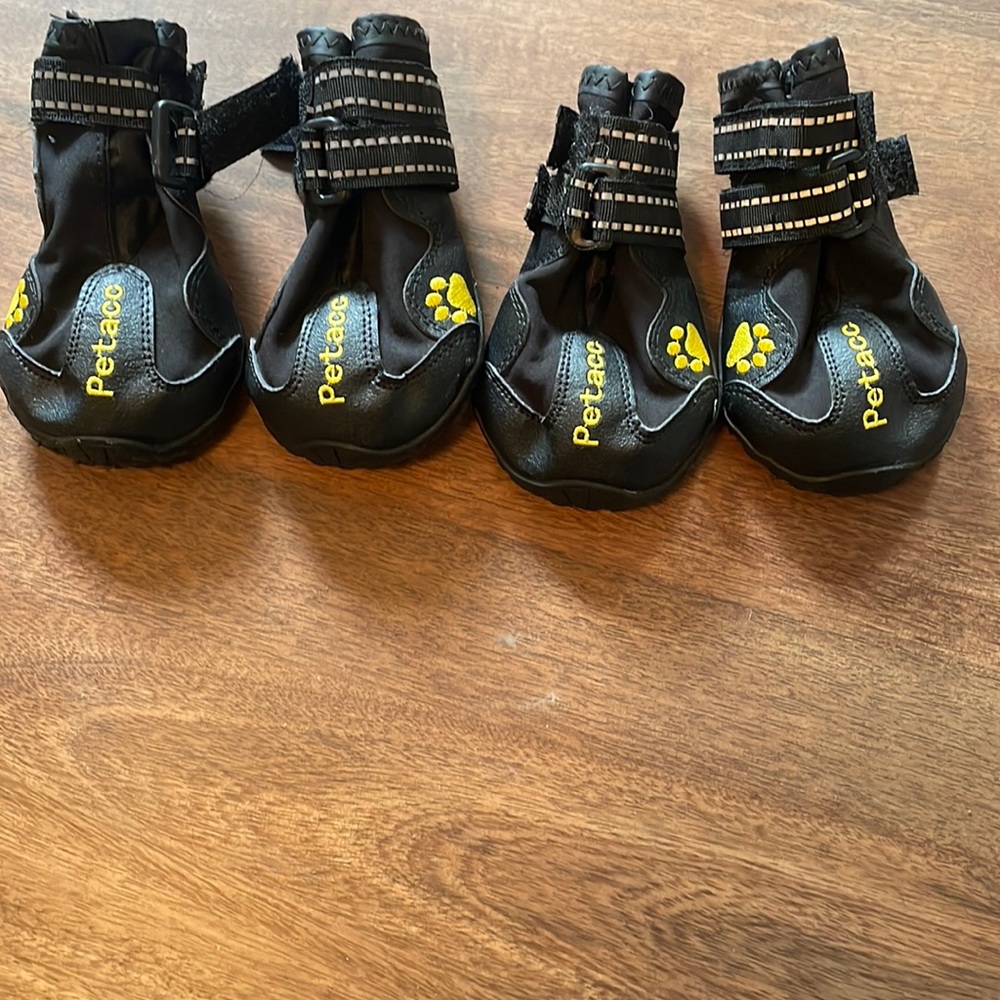 Dog Boots